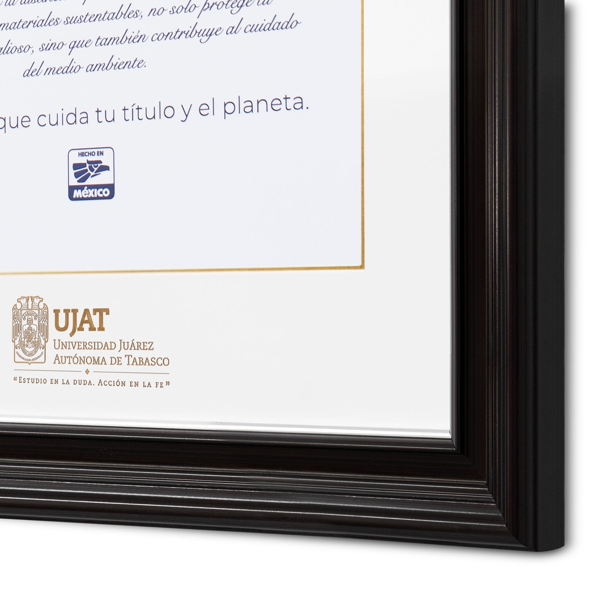 Marco Oficial en para Universidad Juarez Autónoma de Tabasco