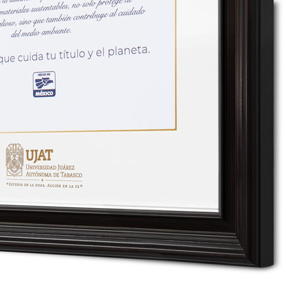Marco Oficial en para Universidad Juarez Autónoma de Tabasco