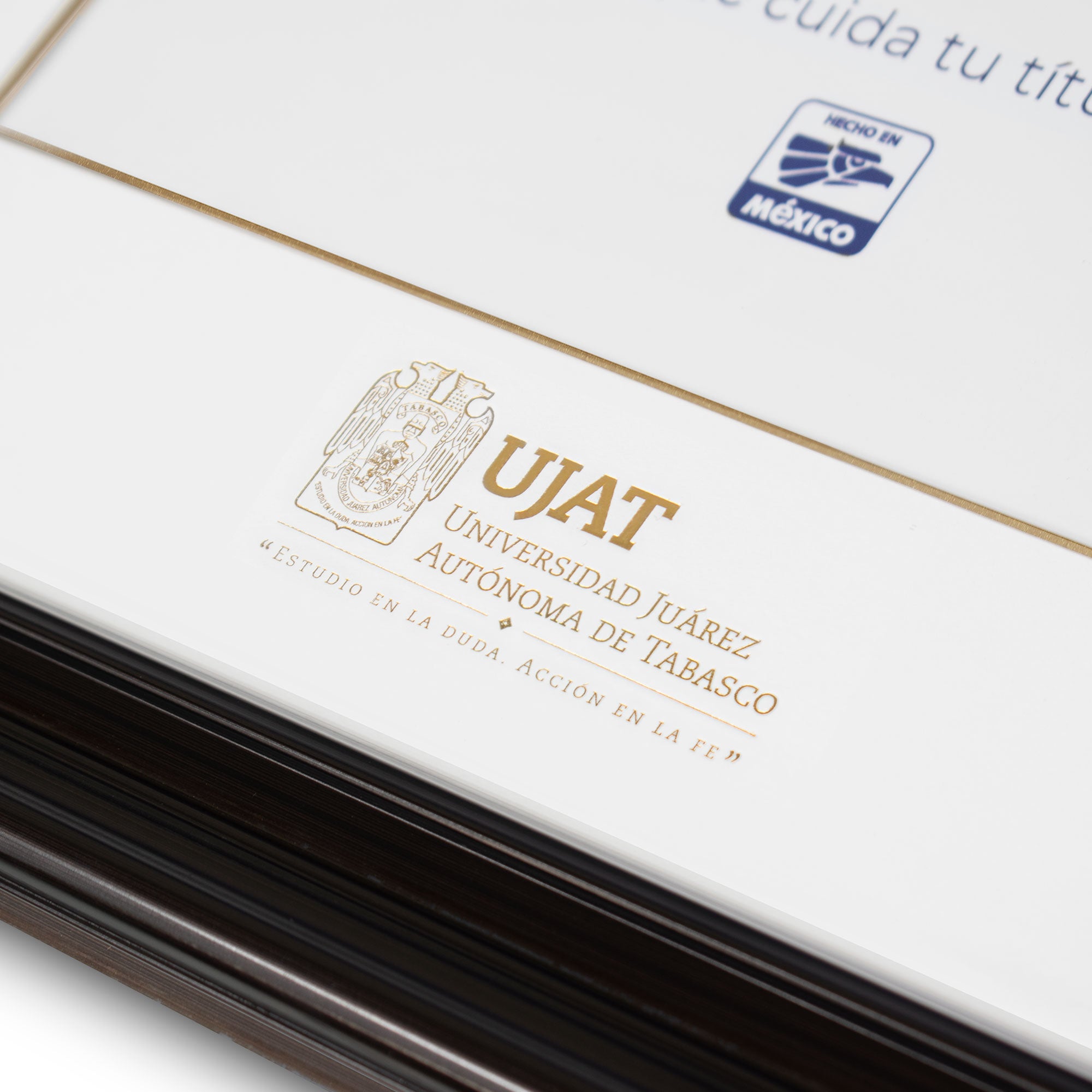 Marco Oficial en para Universidad Juarez Autónoma de Tabasco