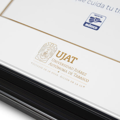 Marco Oficial en para Universidad Juarez Autónoma de Tabasco