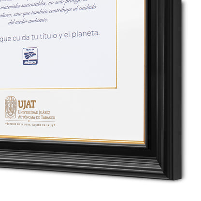Marco Oficial en para Universidad Juarez Autónoma de Tabasco
