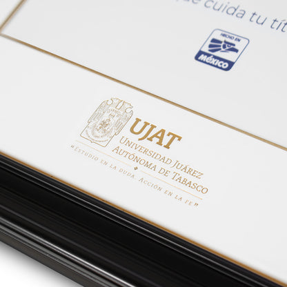 Marco Oficial en para Universidad Juarez Autónoma de Tabasco