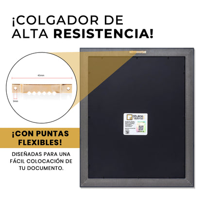 Marco Oficial en Color Caoba con Filo Plata para Universidad UACH