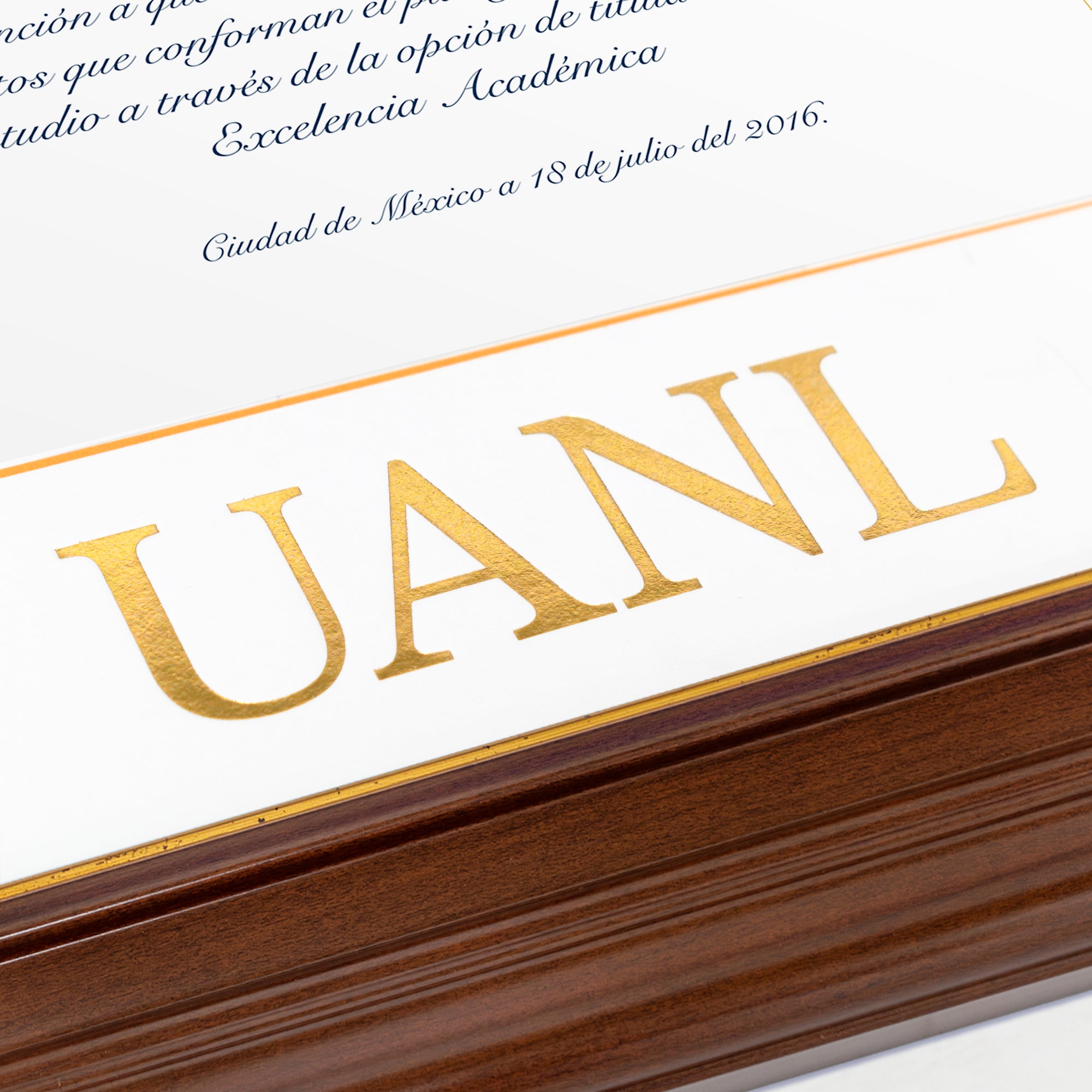 Marco Oficial en Color Nogal con Filo Dorado para Universidad UANL