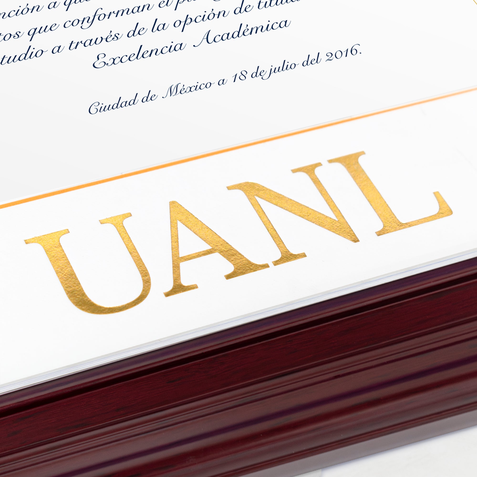 Marco Oficial en Color Caoba con Filo Plata para Universidad UANL