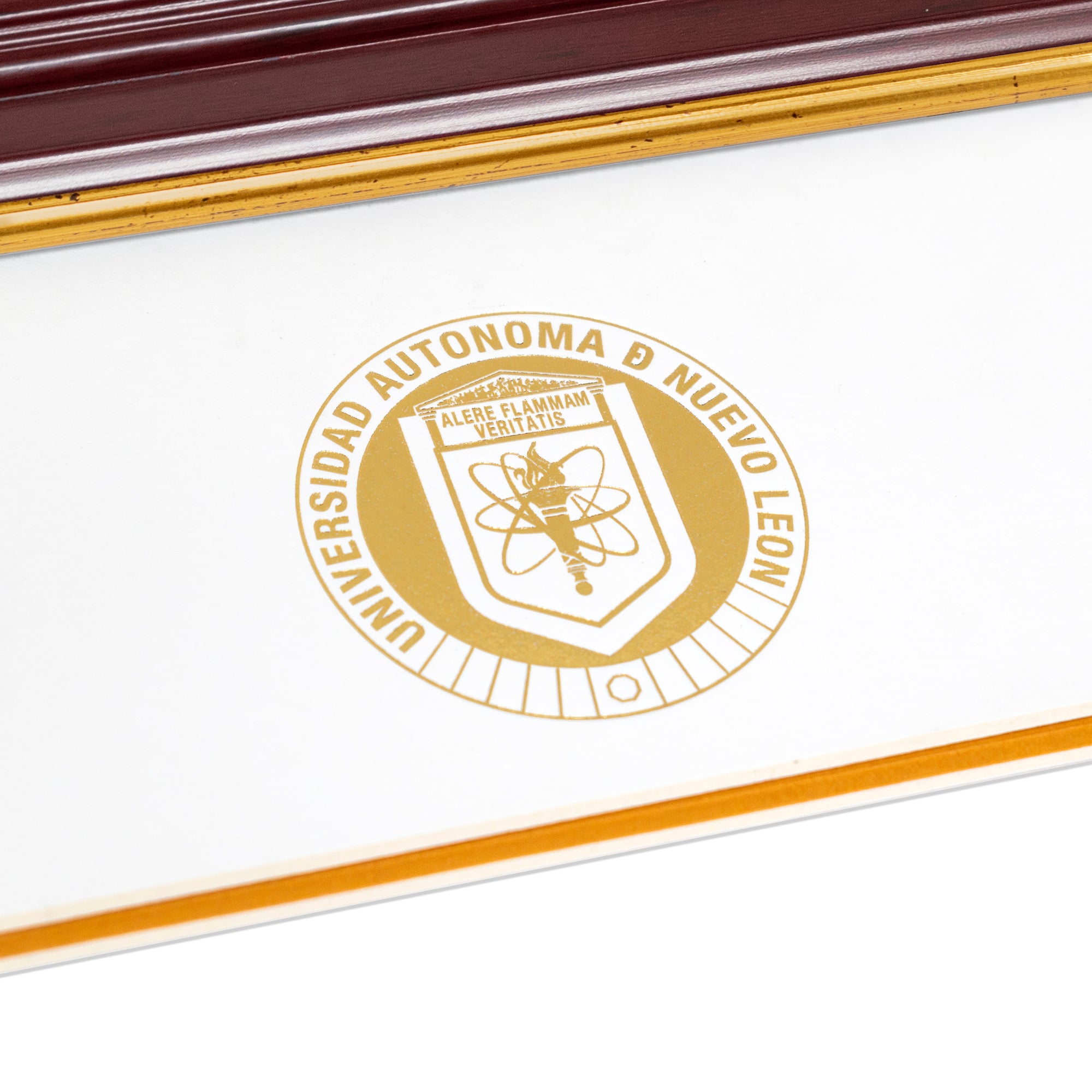 Marco Oficial en Color Caoba con Filo Dorado para Universidad UANL